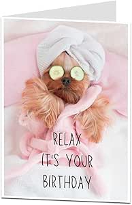 Funny Birthday Card For Her Women Dog Spa Humour Perfect For Female Best Friends Sister Auntie Mum Or Any Dog Lover