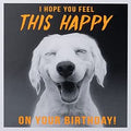 Paperlink Funny Birthday Card for Men/Boys - General Humour Male Card - Hope You Feel This Happy - Smiling Labrador Dog - Eco-Friendly & Recyclable - Made in England