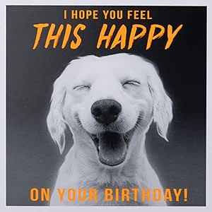 Paperlink Funny Birthday Card for Men/Boys - General Humour Male Card - Hope You Feel This Happy - Smiling Labrador Dog - Eco-Friendly & Recyclable - Made in England