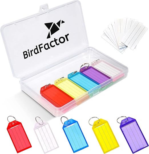25 Pack Heavy Duty Key Tags with Labels - 5 Colours, Plastic Box with Extra Paper Labels, Keyrings & Key Fobs with Split Rings for Keys, Pets, Luggage & Memory Stick Tags