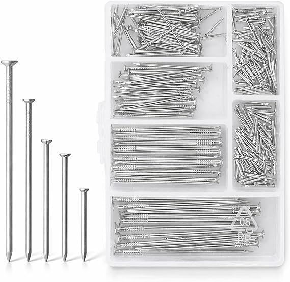 D.A.Y. Republic Flat Head Nails Set of 250 Assorted Sizes in Zinc Plated Metal for Woodwork, Picture Hanging, Home Improvement, Construction with Storage Box, Silver