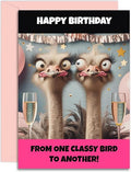Best Friend Birthday - One Classy Bird Bestie Design - Funny Birthday Card for Women. A5 Size with Pink Envelope. Designed and Printed in the UK