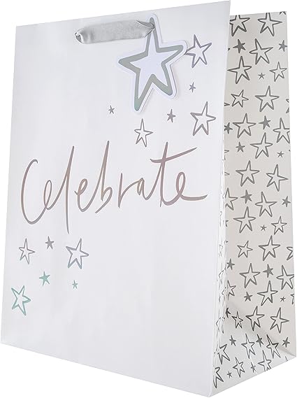 Hallmark Multi-Occasion Large Gift Bag - Holographic Foil Text Design