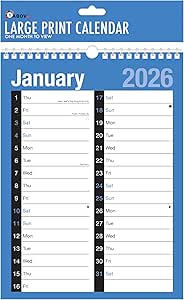 2024 Calendar,Planners & Personal Organisers, Wall Planners,Holidays and Notable Dates,Wall Planner Spiral Bound for Home Business Office School (A4 Month To View)