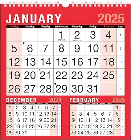 2025 Calendar,Planners & Personal Organisers, Wall Planners,Holidays and Notable Dates,Wall Planner Spiral Bound for Home Business Office School. (3 MONTHS TO VIEW PLANNER)