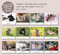 2026 A4 Calendar Cute Kittens. Cat Calendar 2026 cats. One Month to View. A3 when open. Wall Calendar by Absolutely Yours.
