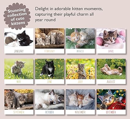 2026 A4 Calendar Cute Kittens. Cat Calendar 2026 cats. One Month to View. A3 when open. Wall Calendar by Absolutely Yours.