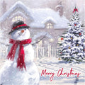 Eurowrap Pack of 12 Assorted Christmas Cards Xmas Traditional Snowman and Robin, 2 Designs Merry Christmas and Christmas Wishes Eco Friendly Packaging 100% Recyclable