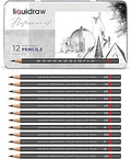 Liquidraw Graphite Drawing Pencils - 12 Set | Professional Quality Graded Artists Pencils | 4 Hard Grades & 8 Soft Grades | Beautiful Storage Tin | Ideal for Art & Sketching | Fits Standard Sharpeners