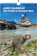 Dogs Pooping in Beautiful Places Calendar 2025, Funny Dogs Pooping Calendar Silly Gifts, Rude Christmas Birthday Secret Santa Ideas Wall Monthly Calendar Planner Presents for Men Women - A4