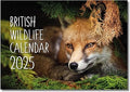 2025 A4 British Wildlife Calendar UK. One Month to View. A3 when open. Wall Calendar by Absolutely Yours.