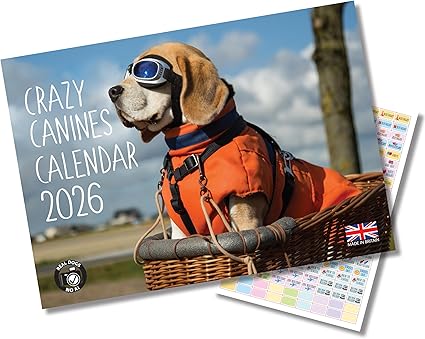 2026 A4 Dogs calendar. Crazy Canines calendar. One Month to View. A3 when open. Funny Dogs Wall Calendar by Absolutely Yours.