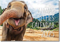 2025 A4 Animal Selfie Calendar UK. One Month to View. A3 when open. Wall Calendar 2025 by Absolutely Yours.