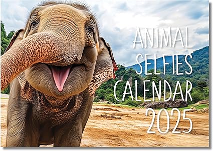 2025 A4 Animal Selfie Calendar UK. One Month to View. A3 when open. Wall Calendar 2025 by Absolutely Yours.